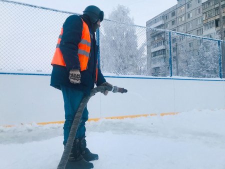 Александр Фролов помог в реконструкции хоккейного корта