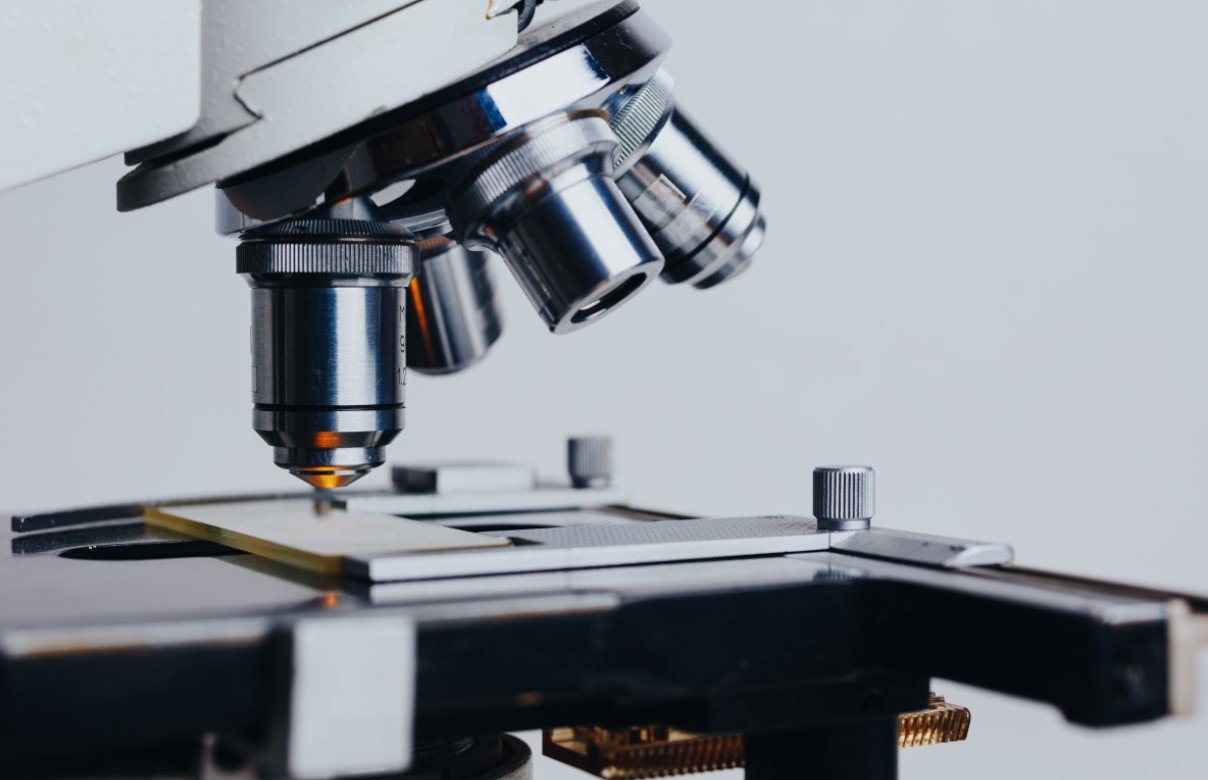 Японские учёные раскрыли универсальный механизм, объясняющий замедление роста при избытке питательных веществ