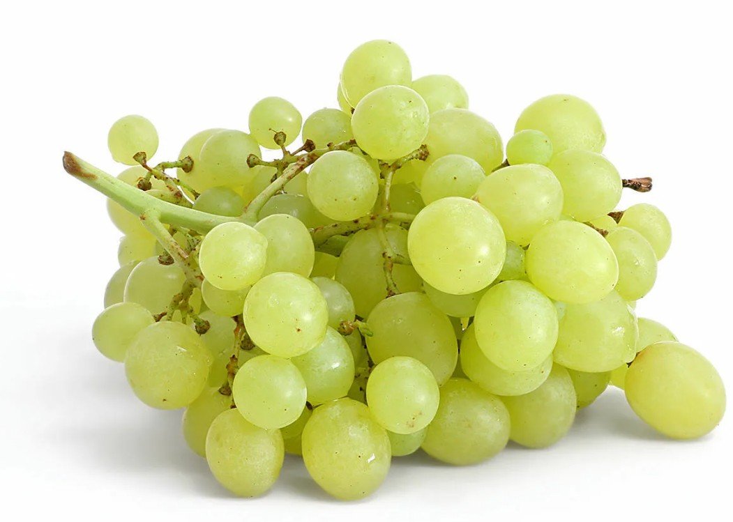 В горах Тибета нашли виноградную лозу возрастом 416 лет и новый мировой рекорд