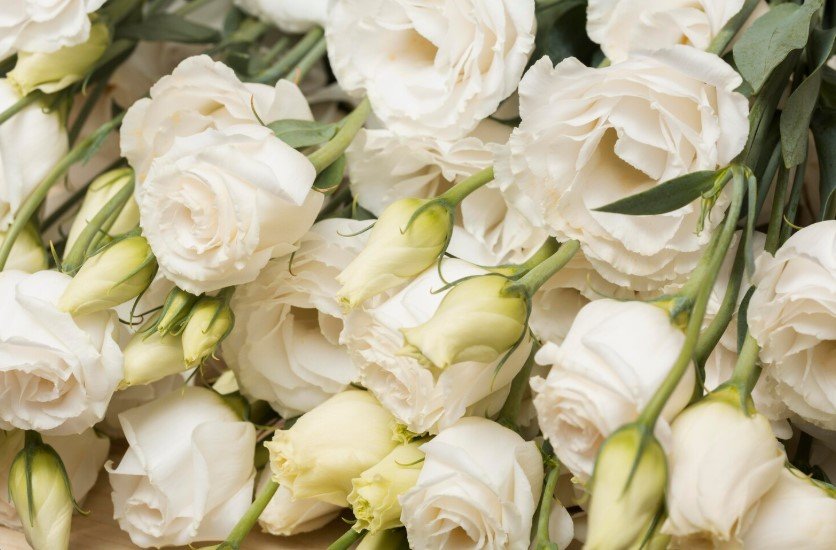 Пашу устроил роскошный праздник для жены Ханны в честь её 35‑летия