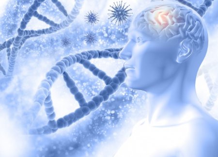 Исследование показывает, что постковидный синдром влияет на мозг даже у выздоровевших пациентов