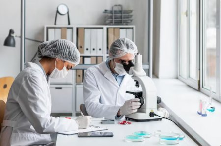 Ученые Сколтеха открыли новые методы управления свойствами платиновых катализаторов на основе наночастиц