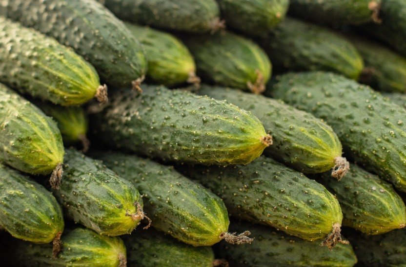 Антимонопольная служба проверяет резкий рост цен на огурцы в российских магазинах
