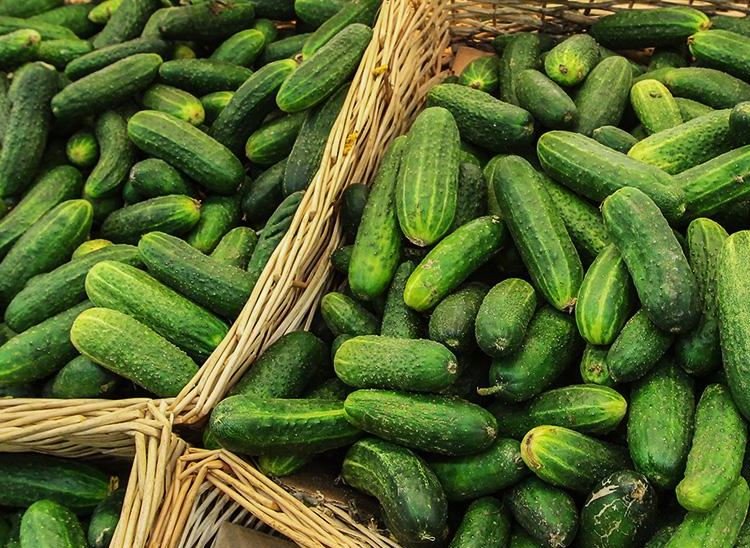 В феврале существенно вырасли цены на огурцы