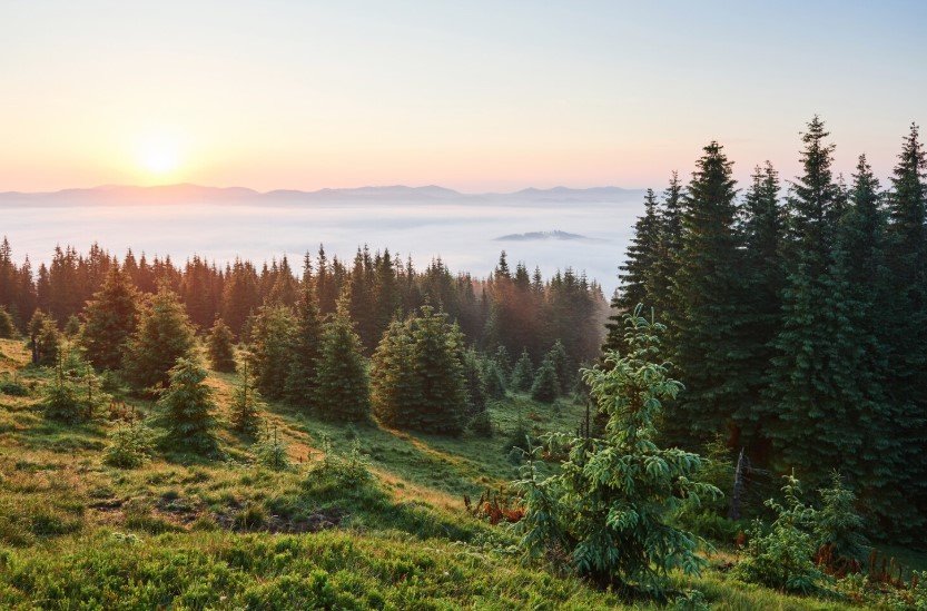 Учёные связали исчезновение «хоббитов» с многовековой засухой
