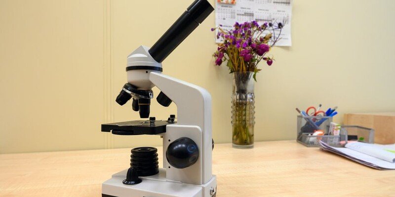 Учёные объяснили, почему болезнь Альцгеймера у женщин прогрессирует быстрее