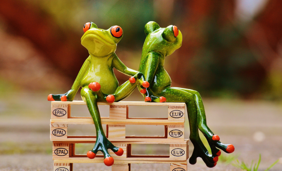 Ученые обнаружили в Уганде семь новых видов насекомых, похожих на лягушек