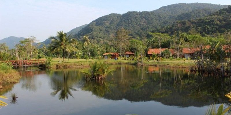 Климатические изменения угрожают мангровым экосистемам тропиков