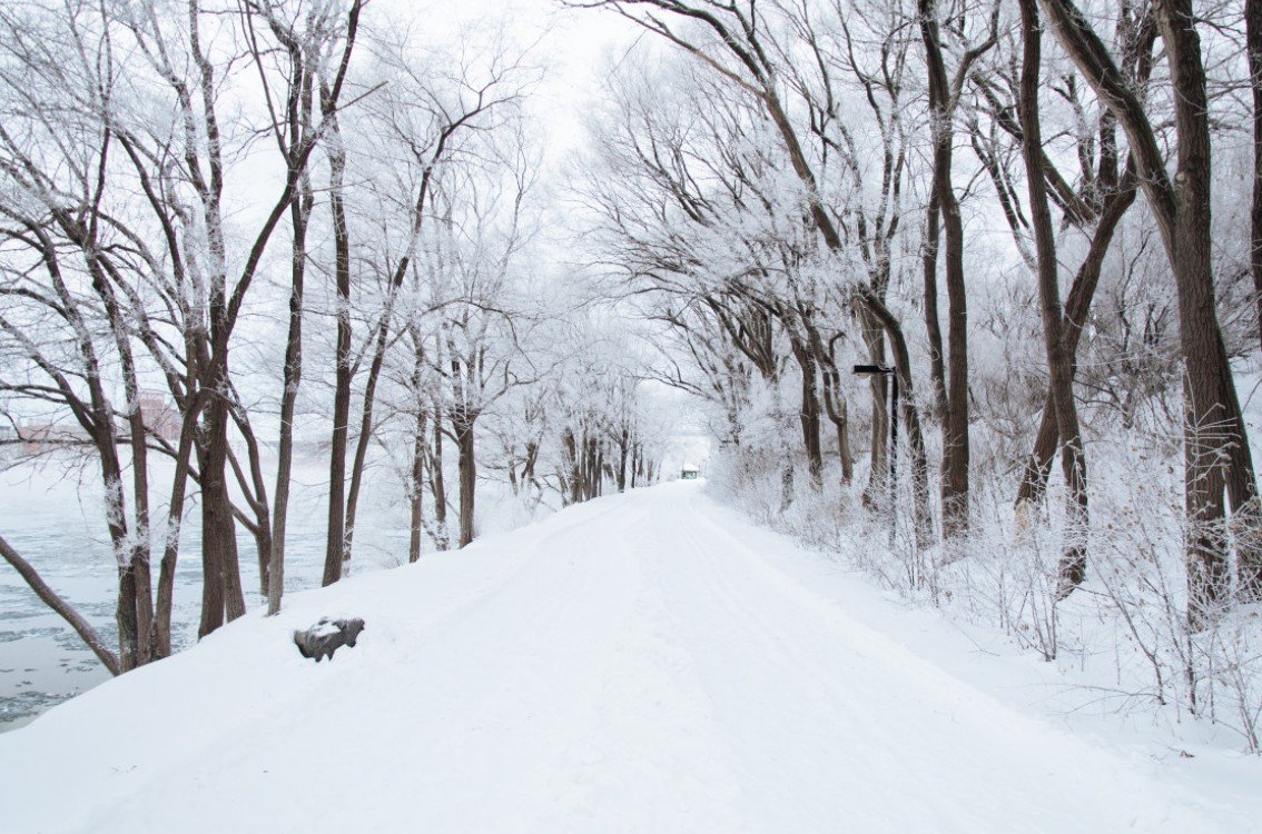 В Новосибирске обрушилась крыша остановки возле «Метро Гагаринская» под тяжестью снега